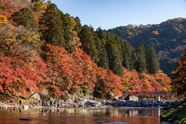 Thung lũng Korankei một trong những địa điểm ngắm lá đỏ đẹp nhất tại Nhật Bản